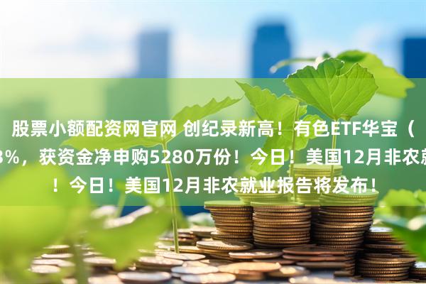 股票小额配资网官网 创纪录新高！有色ETF华宝（159876）猛拉3%，获资金净申购5280万份！今日！美国12月非农就业报告将发布！