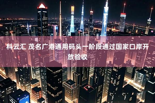 科云汇 茂名广港通用码头一阶段通过国家口岸开放验收